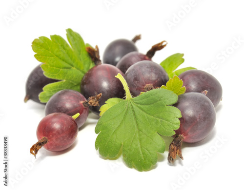 Red Gooseberries with Green Leaves Isolated on White Background photo