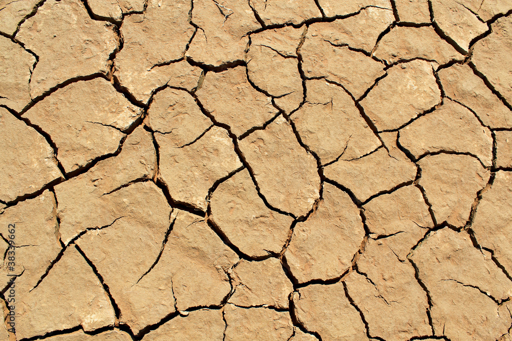 Soil detail of a dry pan, in the Sossusvlei sand dunes, Namib de Soil detail of a dry pan, in the Sossusvlei sand dunes, Namib de