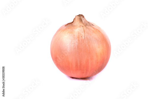 onion on white
