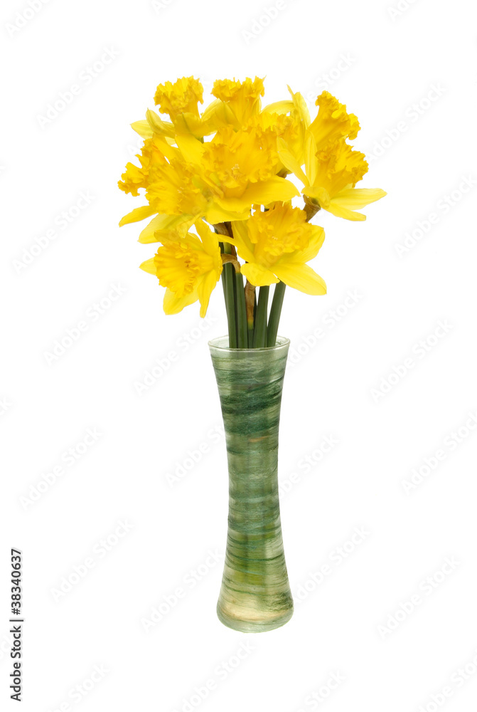 Obraz premium Bunch of daffodils
