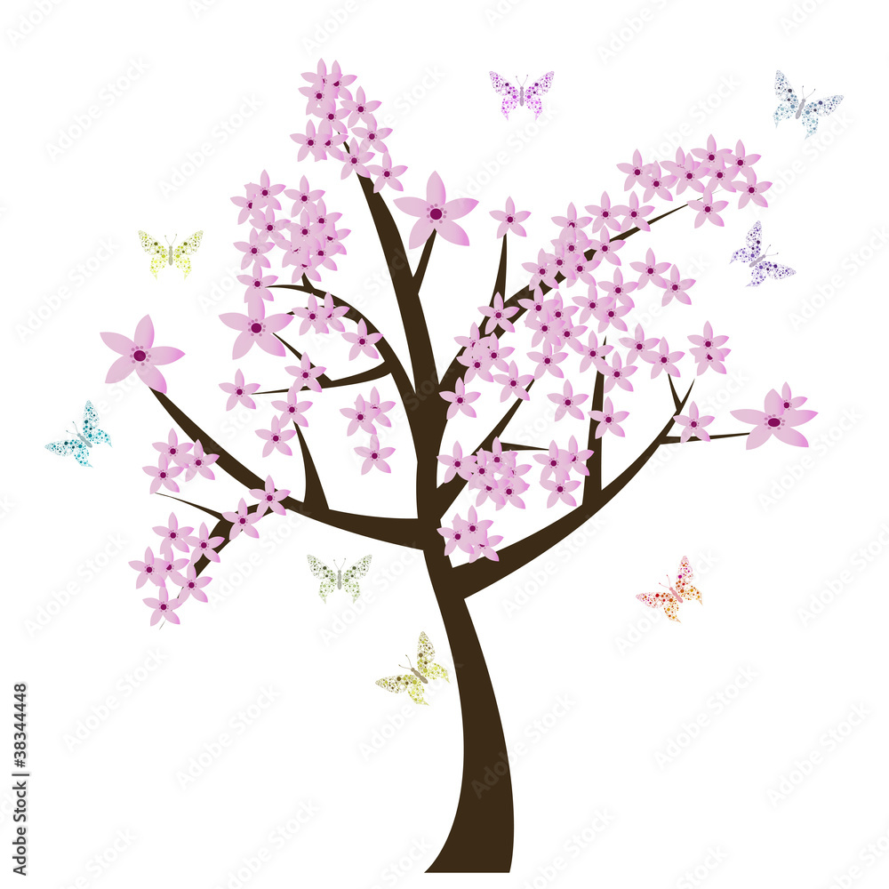Cherry blossom Cherry blossom