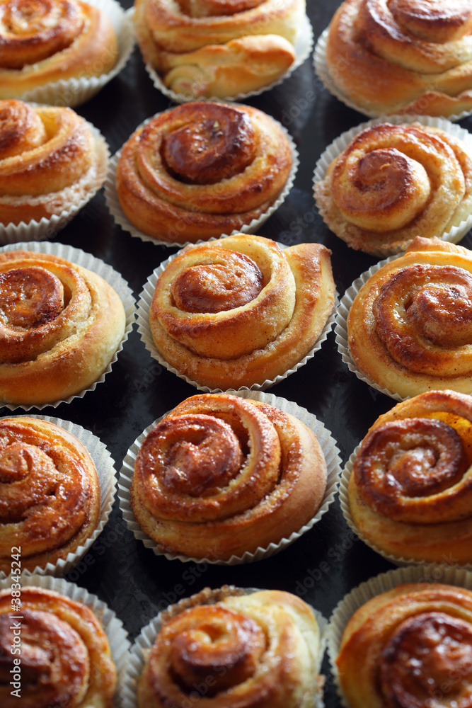 .Fresh Cinnamon Buns .Fresh Cinnamon Buns