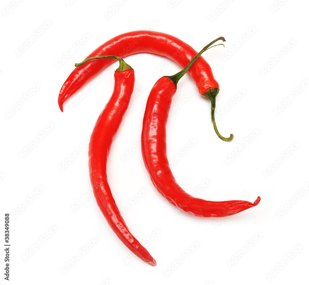 Red hot chilli pepper on white background Red hot chilli pepper on white background