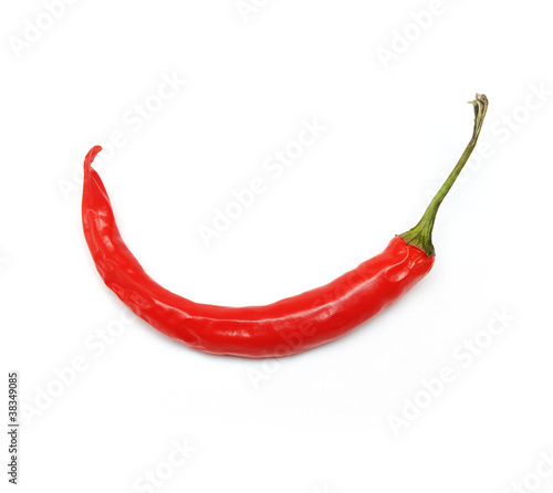 Red hot chilli pepper on white background