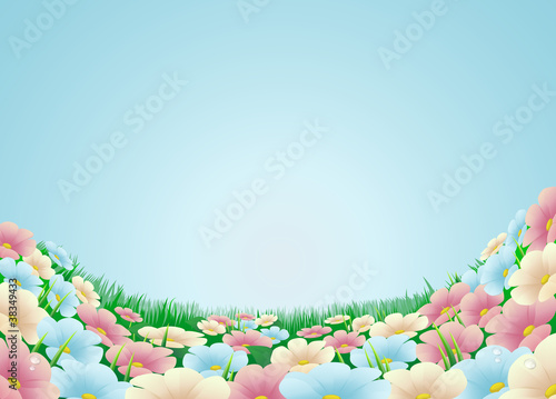 Flower meadow illustration