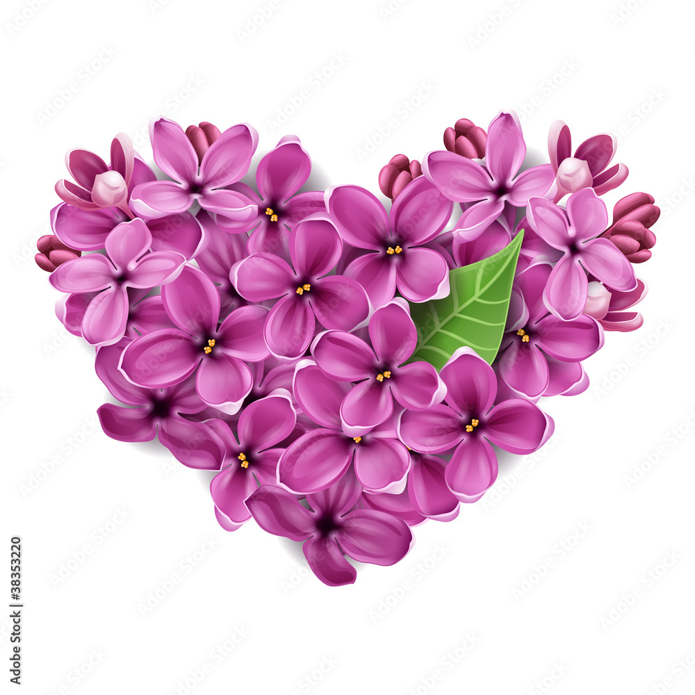 Heart from flowers of a lilac Heart from flowers of a lilac