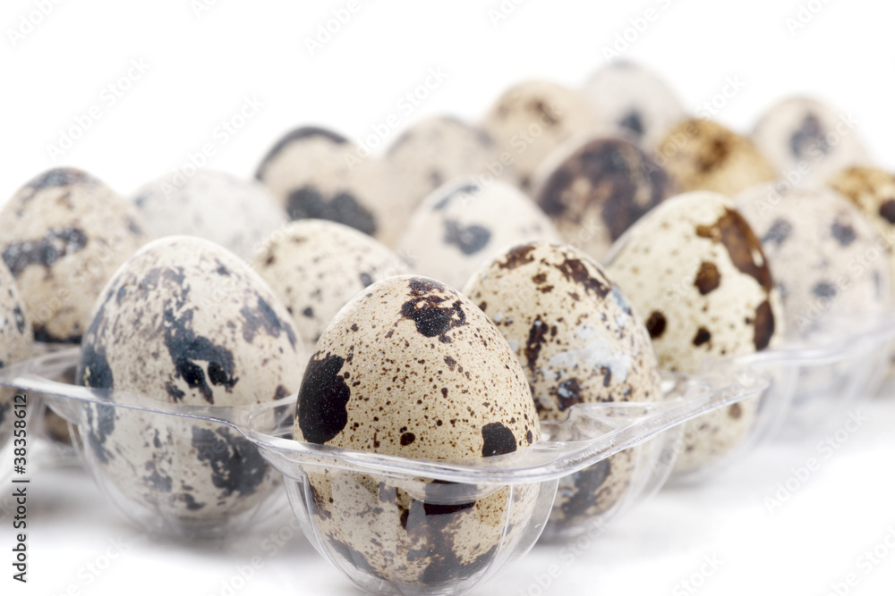 Obraz premium Package of quail eggs
