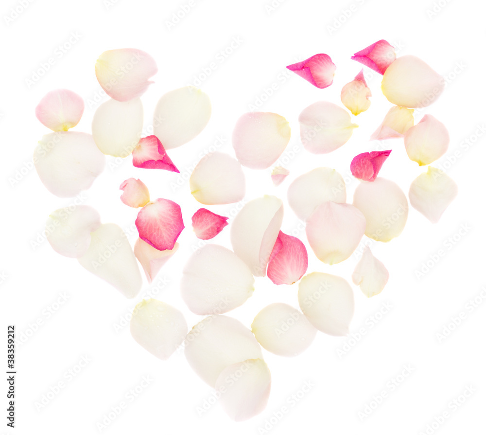 heart of rose petals heart of rose petals