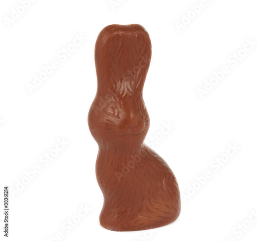 chocolate bunny isolated