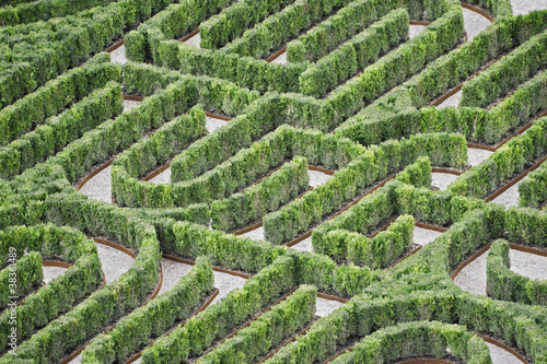 Part of an hedges labyrinth viewed from above photo