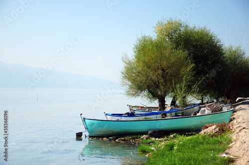 boats under trees by lake
