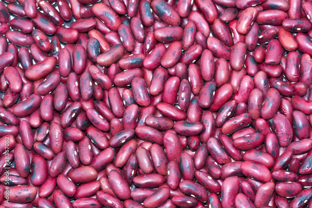 Roasted Red Bean . Roasted Red Bean .