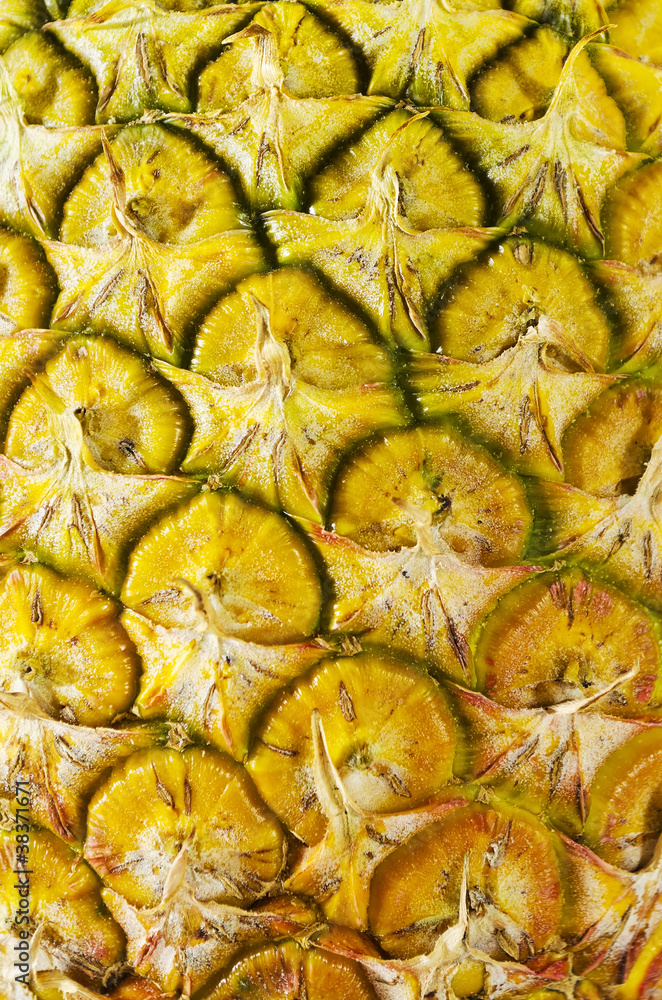 Fototapeta premium Pineapple
