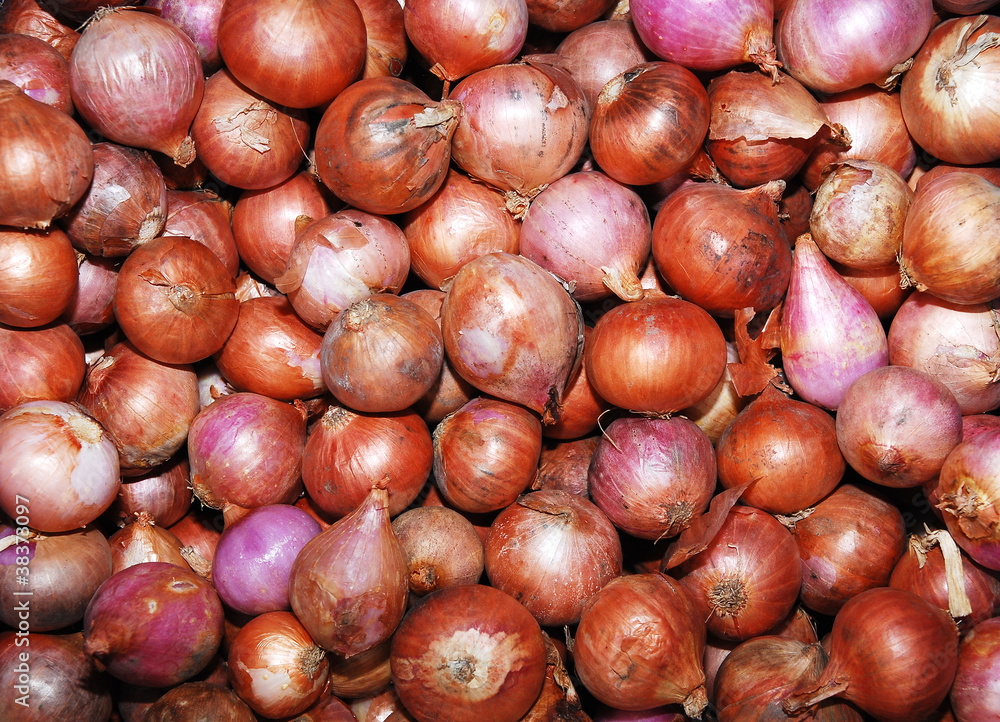 Onions at the market Onions at the market