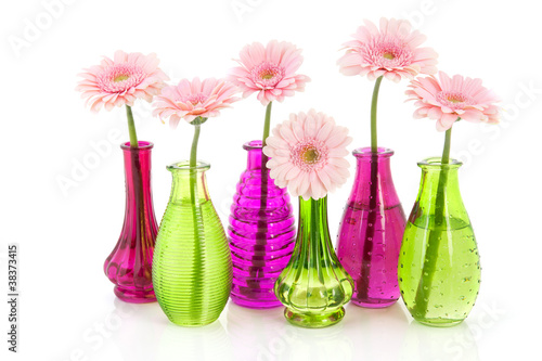 Pink Gerber in glass vases