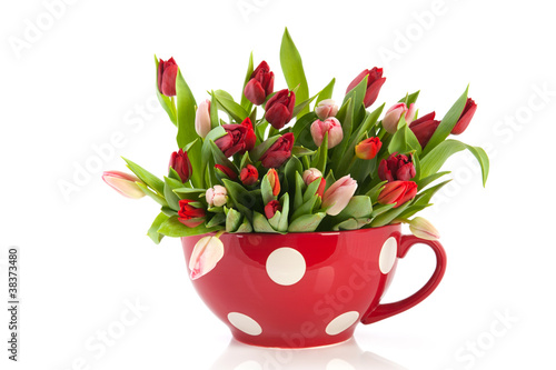 Big cup of tulips