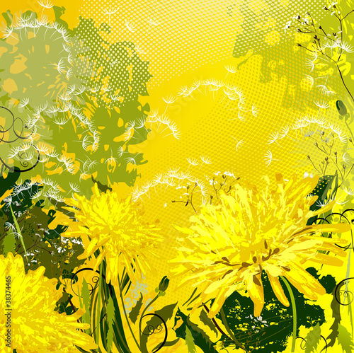 glade with a dandelions