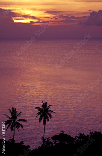 sunset and palmtrees at the ocean