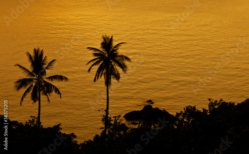 palmtrees at the sea