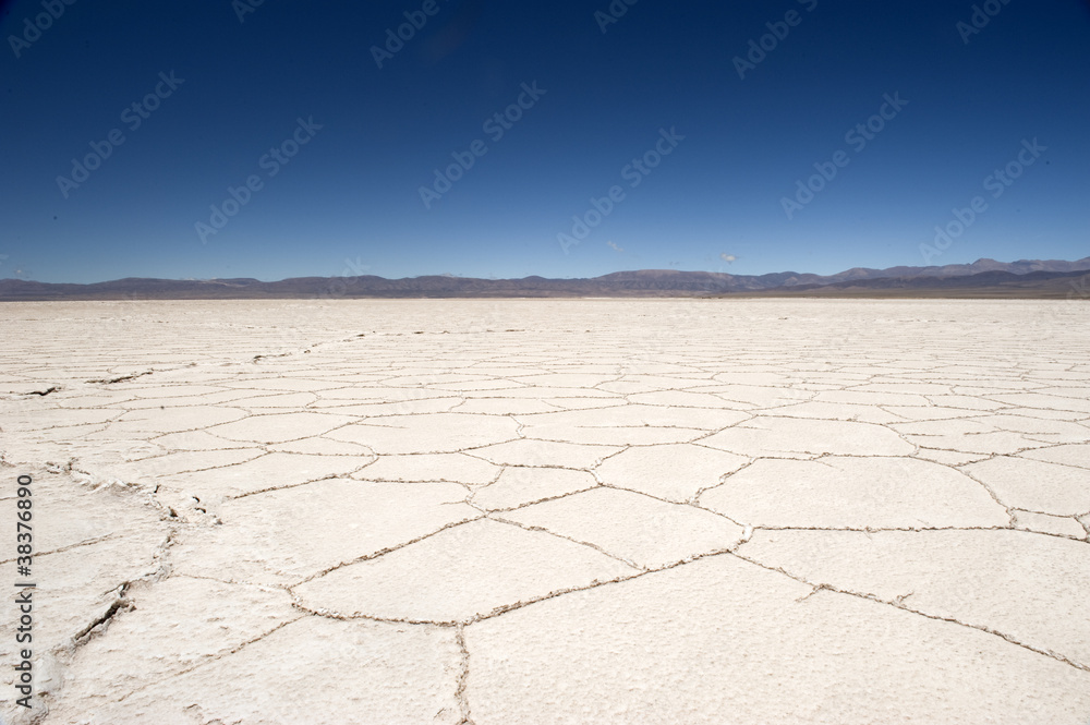 Fototapeta premium Salinas Grande, Salta