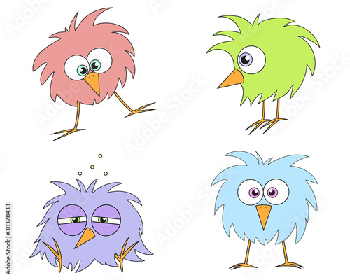 funny birds