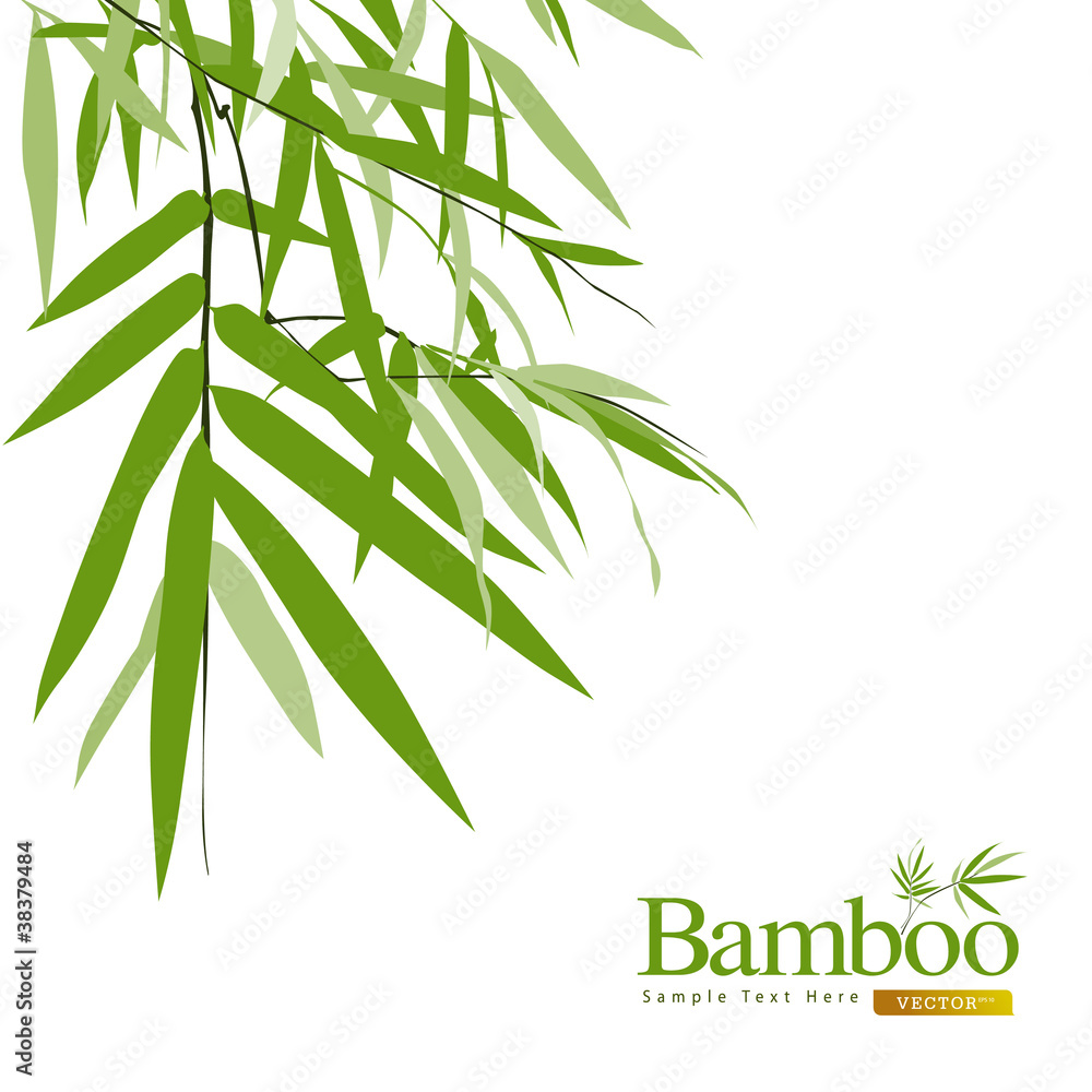 Obraz premium Bambus na białym tle ilustracji wektorowych kartkę z życzeniami