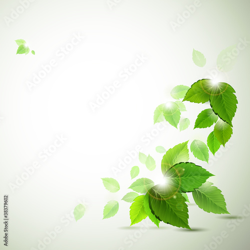 background with fresh green leaves