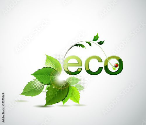 eco poster with fresh green leaves