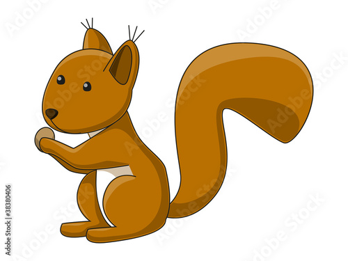 Cute squirrel