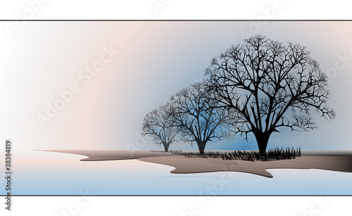 Winterland