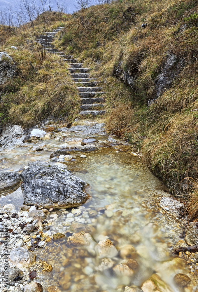 Stairway in the woods near torrent Felcina, Italy Stock Photo | Adobe Stock