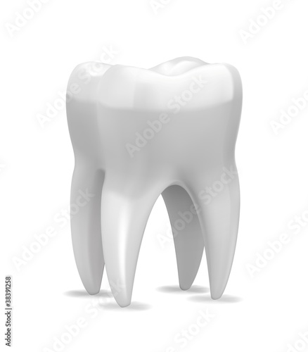 Fine vector tooth isolated on white background
