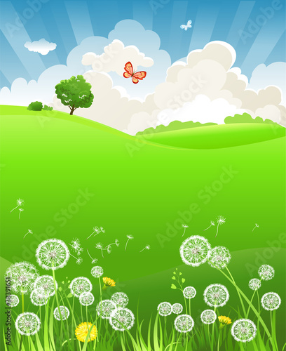 Summer landscape with dandelion
