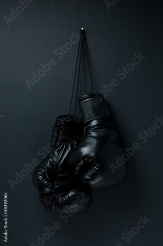 Boxing Gloves © Andrew Parfenov