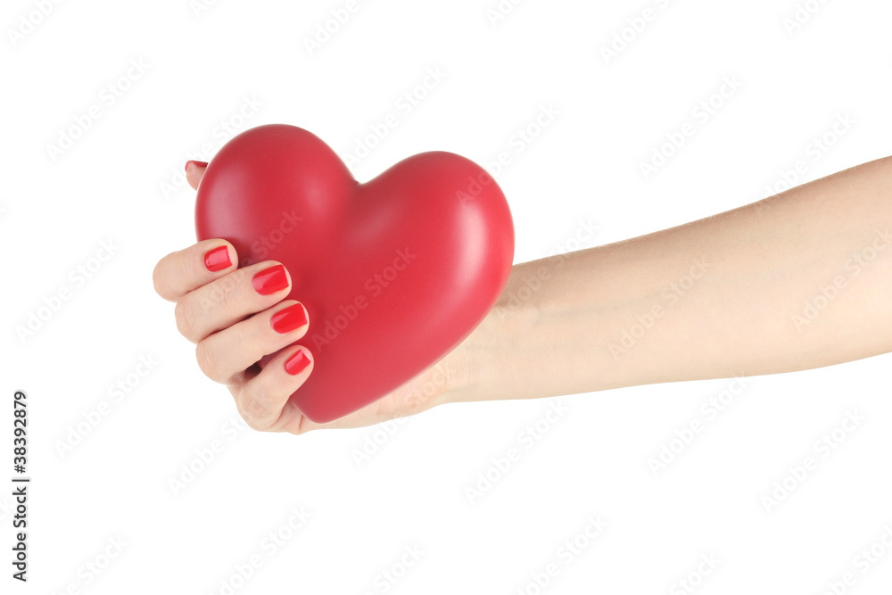 Red heart in woman's hand isolated on white Red heart in woman's hand isolated on white