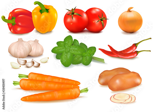 The big colorful group of vegetables. Vector.