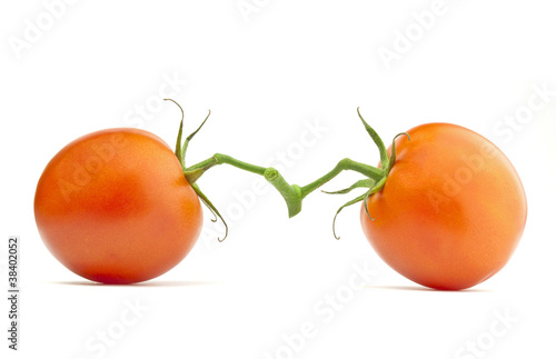 Two tomatoes isolated photo