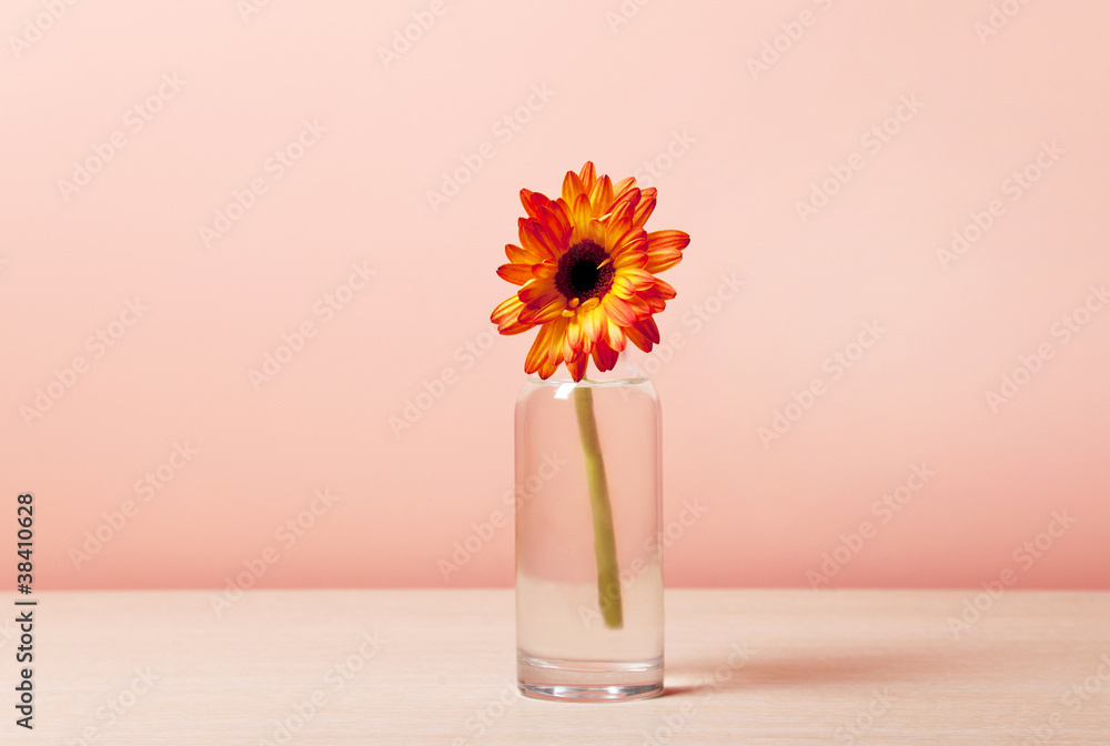 Flower on table Flower on table