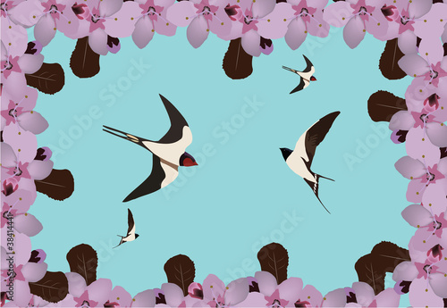 rondini e fiore di pesco