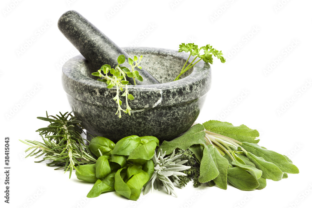 mortar and pestle with fresh herbs