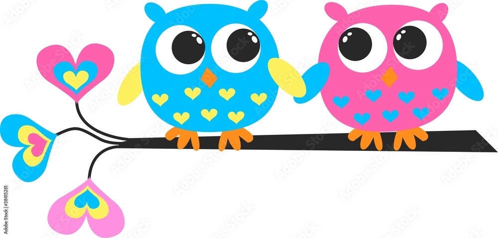 two colorful owls two colorful owls