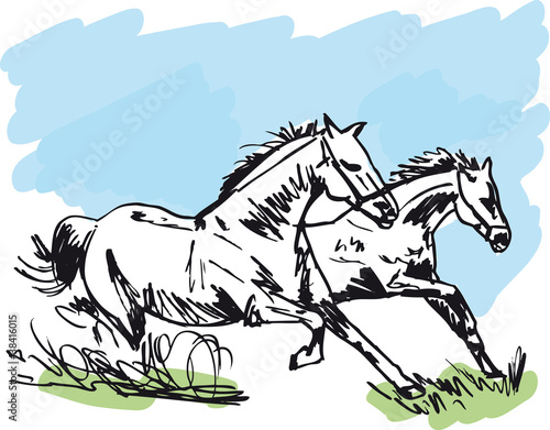 Stallion Sketch. Vector illustration