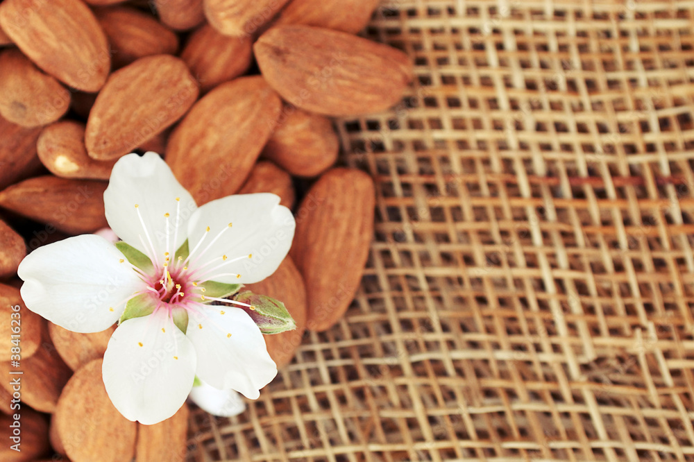 Fototapeta premium almond blossom