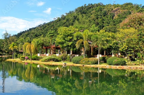 Foto tropical nature near lake