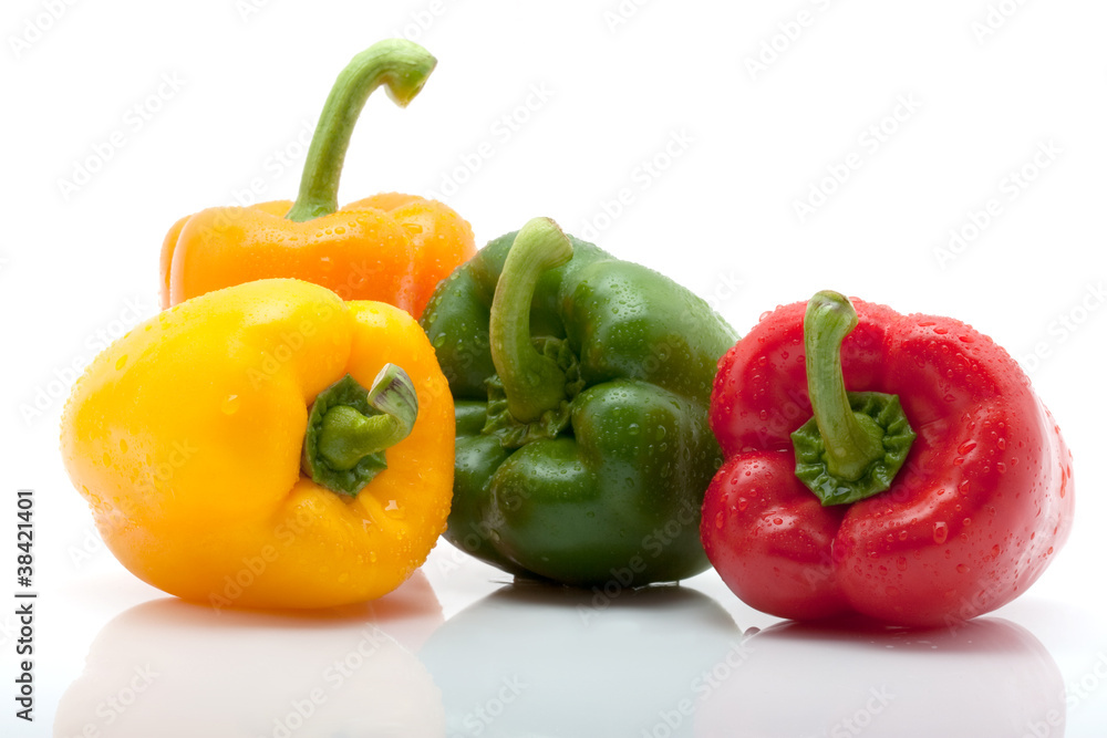 grüne, gelbe, orange und rote Paprika mit Tropfen vor weiss grüne, gelbe, orange und rote Paprika mit Tropfen vor weiss