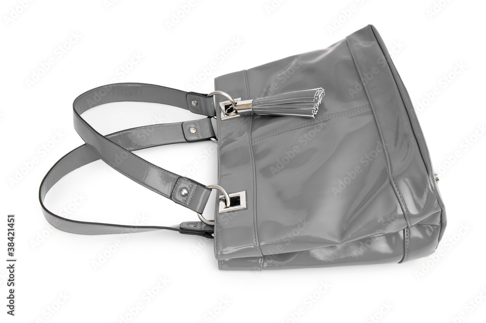 Elegant woman bag on white Elegant woman bag on white
