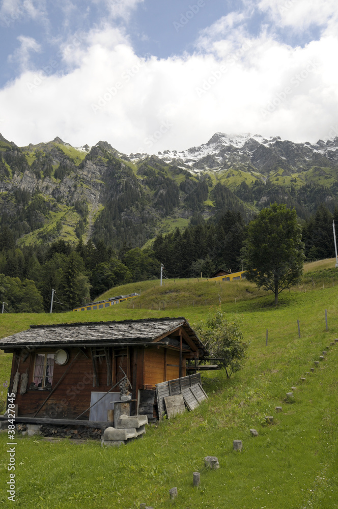 Swiss chalet in village of Wengen