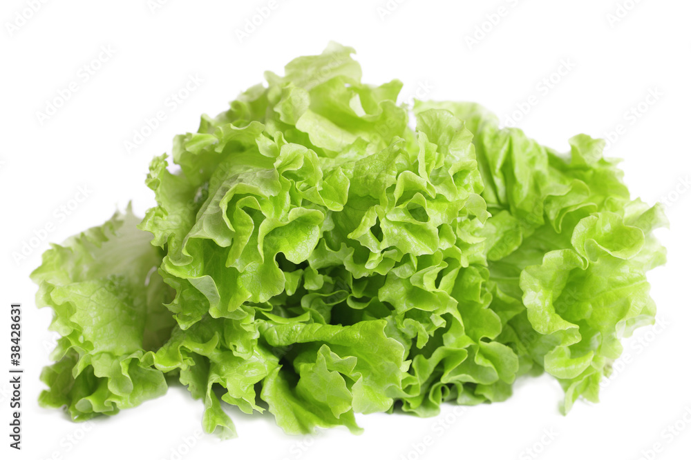 Lettuce salad. Lettuce salad.