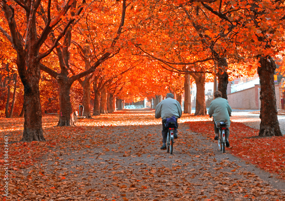 2 Radfahrer im Herbst