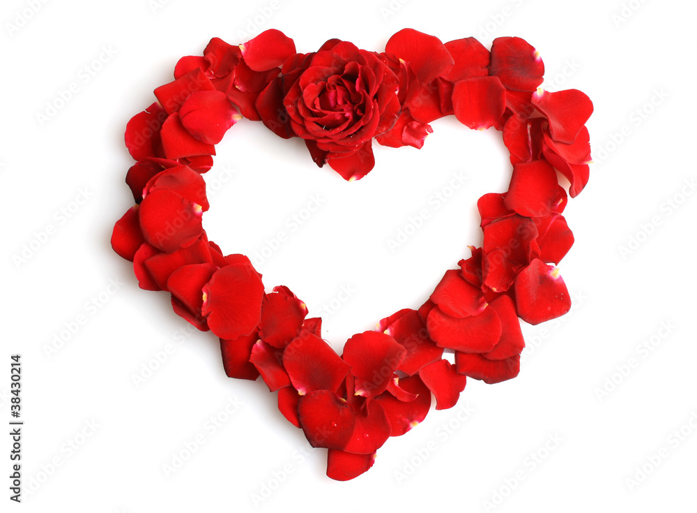 beautiful heart of red rose petals isolated on white beautiful heart of red rose petals isolated on white